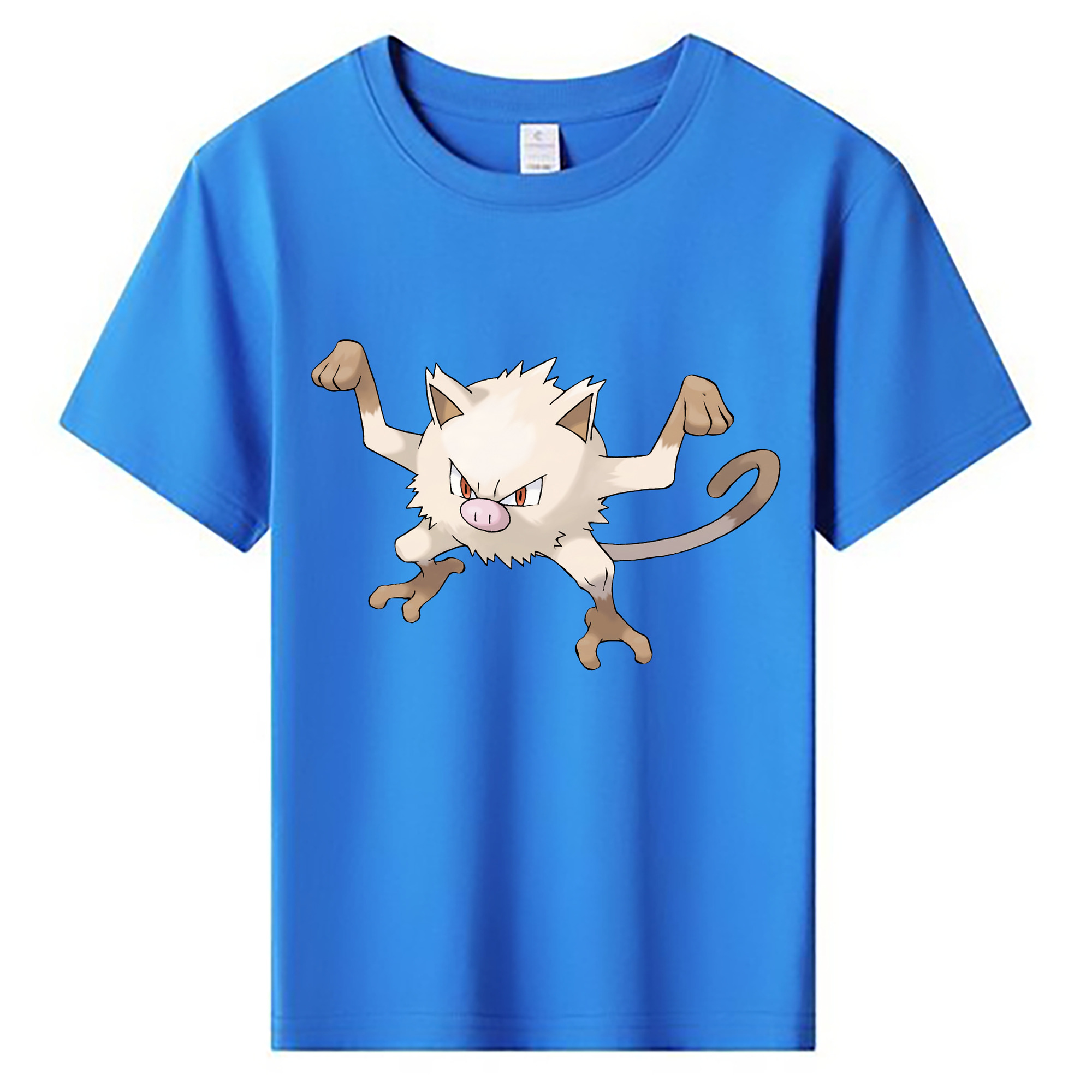 （画像用） ポケットモンスター Pokémon 綿100％キッズTシャツ（フロントプリント）